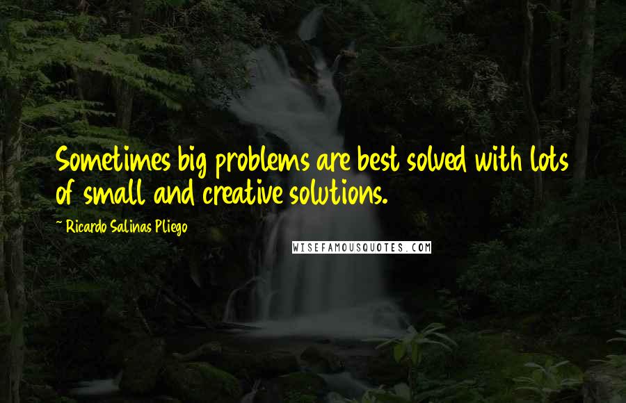 Ricardo Salinas Pliego Quotes: Sometimes big problems are best solved with lots of small and creative solutions.