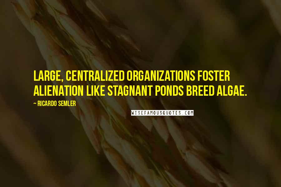 Ricardo Semler Quotes: Large, centralized organizations foster alienation like stagnant ponds breed algae.