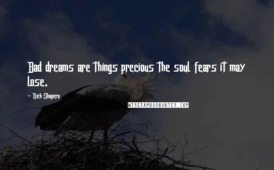 Rich Shapero Quotes: Bad dreams are things precious the soul fears it may lose.