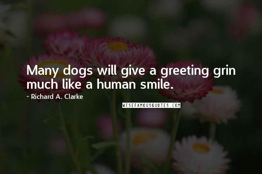 Richard A. Clarke Quotes: Many dogs will give a greeting grin much like a human smile.