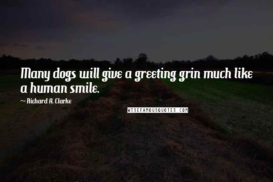 Richard A. Clarke Quotes: Many dogs will give a greeting grin much like a human smile.