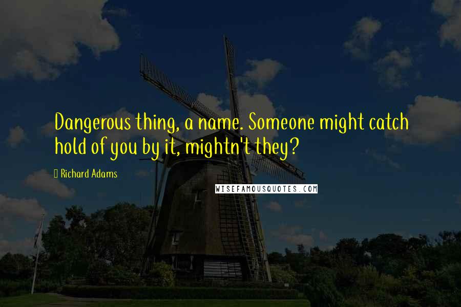 Richard Adams Quotes: Dangerous thing, a name. Someone might catch hold of you by it, mightn't they?