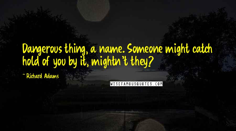 Richard Adams Quotes: Dangerous thing, a name. Someone might catch hold of you by it, mightn't they?