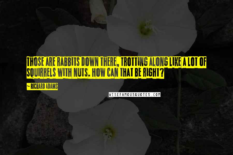 Richard Adams Quotes: Those are rabbits down there, trotting along like a lot of squirrels with nuts. How can that be right?