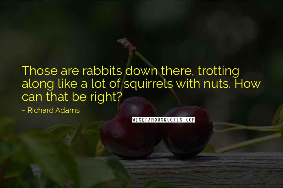 Richard Adams Quotes: Those are rabbits down there, trotting along like a lot of squirrels with nuts. How can that be right?