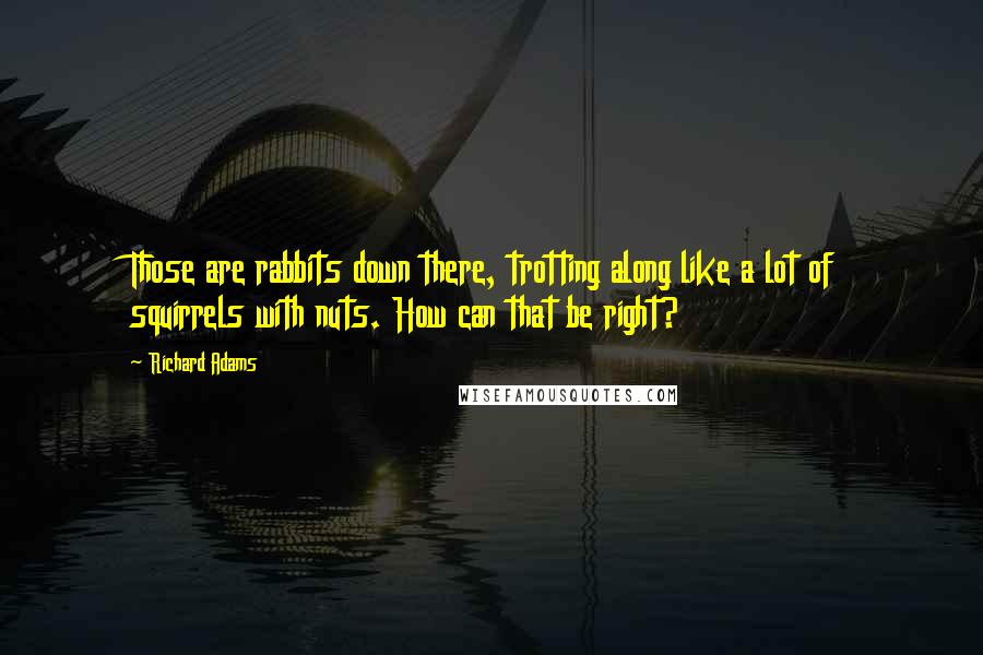 Richard Adams Quotes: Those are rabbits down there, trotting along like a lot of squirrels with nuts. How can that be right?