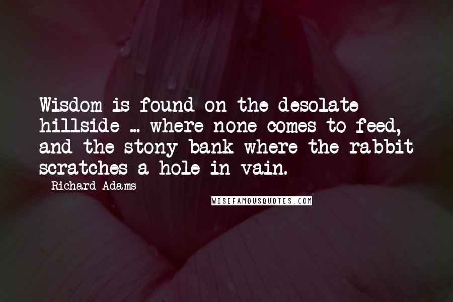 Richard Adams Quotes: Wisdom is found on the desolate hillside ... where none comes to feed, and the stony bank where the rabbit scratches a hole in vain.