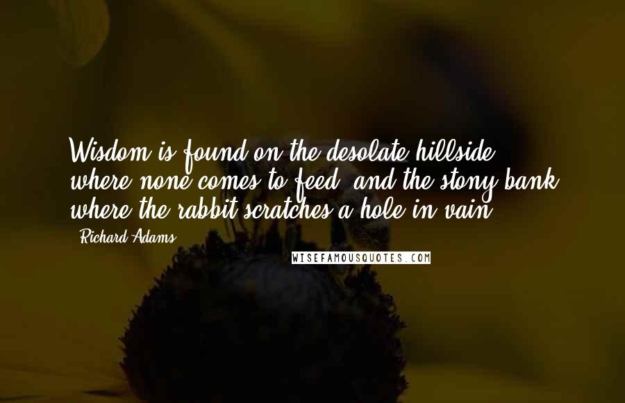 Richard Adams Quotes: Wisdom is found on the desolate hillside ... where none comes to feed, and the stony bank where the rabbit scratches a hole in vain.