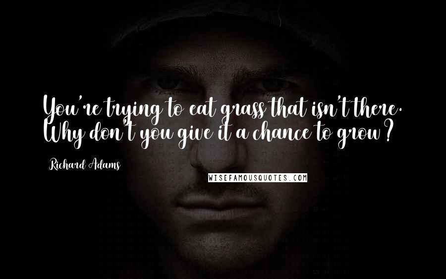 Richard Adams Quotes: You're trying to eat grass that isn't there. Why don't you give it a chance to grow?