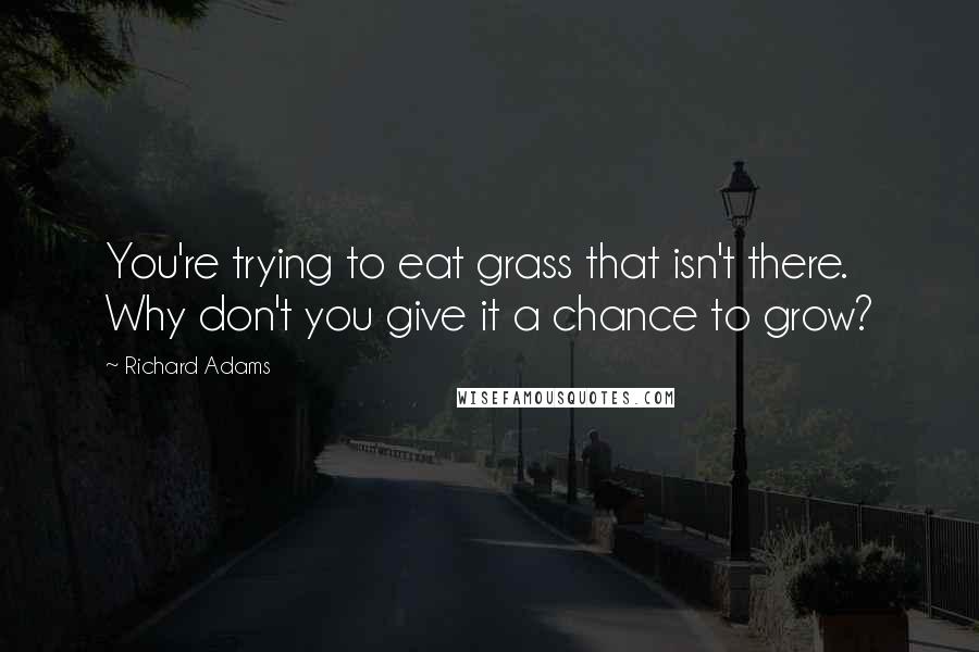 Richard Adams Quotes: You're trying to eat grass that isn't there. Why don't you give it a chance to grow?