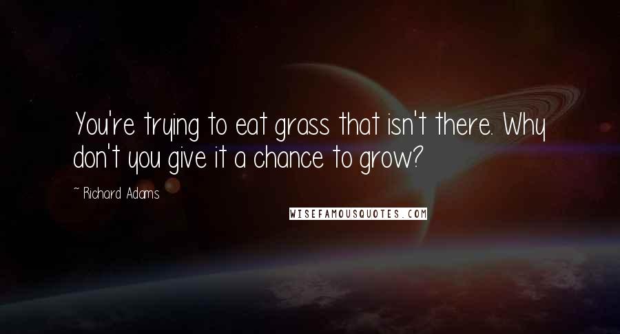 Richard Adams Quotes: You're trying to eat grass that isn't there. Why don't you give it a chance to grow?