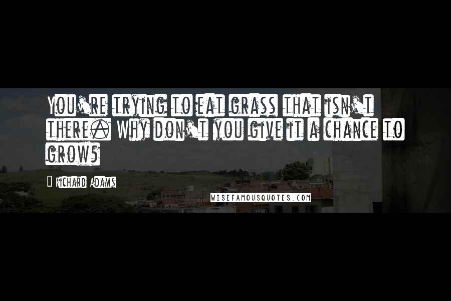 Richard Adams Quotes: You're trying to eat grass that isn't there. Why don't you give it a chance to grow?