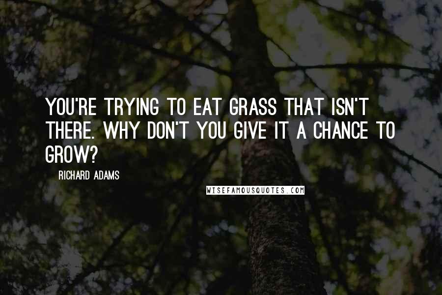 Richard Adams Quotes: You're trying to eat grass that isn't there. Why don't you give it a chance to grow?