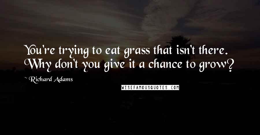 Richard Adams Quotes: You're trying to eat grass that isn't there. Why don't you give it a chance to grow?