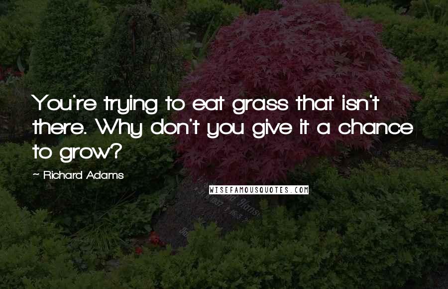 Richard Adams Quotes: You're trying to eat grass that isn't there. Why don't you give it a chance to grow?