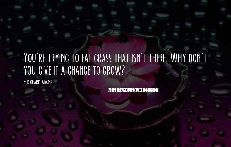 Richard Adams Quotes: You're trying to eat grass that isn't there. Why don't you give it a chance to grow?