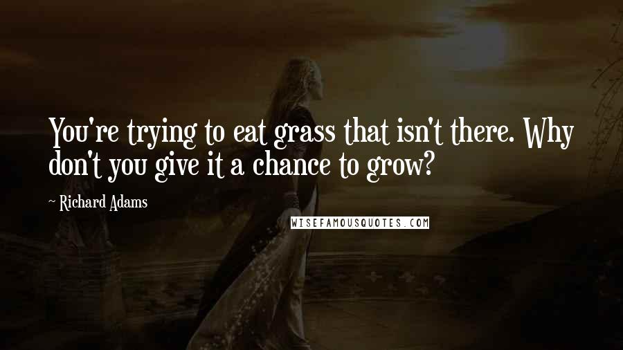 Richard Adams Quotes: You're trying to eat grass that isn't there. Why don't you give it a chance to grow?