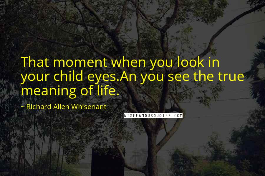 Richard Allen Whisenant Quotes: That moment when you look in your child eyes.An you see the true meaning of life.