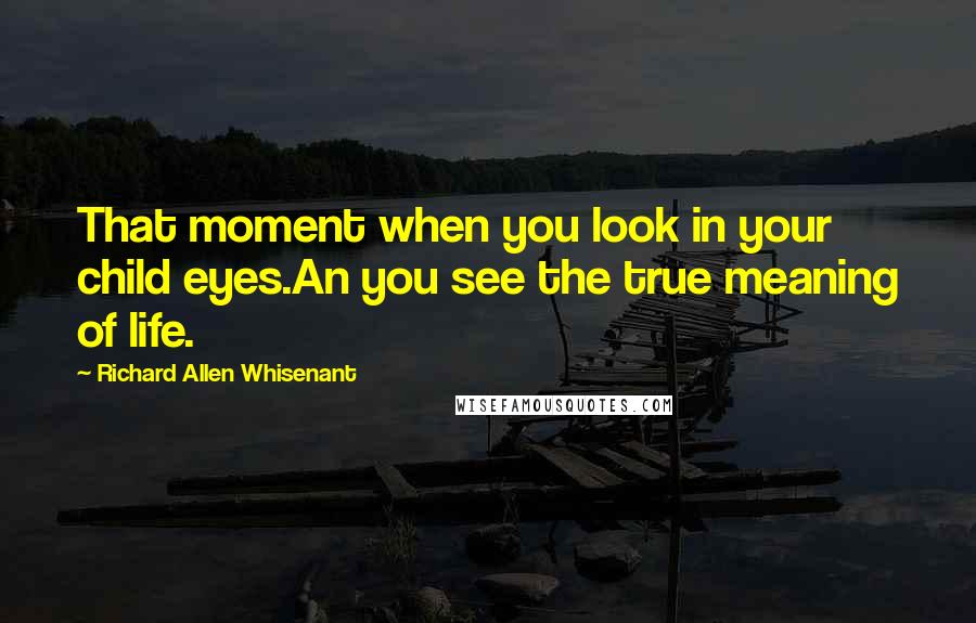 Richard Allen Whisenant Quotes: That moment when you look in your child eyes.An you see the true meaning of life.