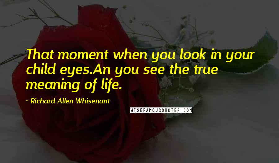 Richard Allen Whisenant Quotes: That moment when you look in your child eyes.An you see the true meaning of life.