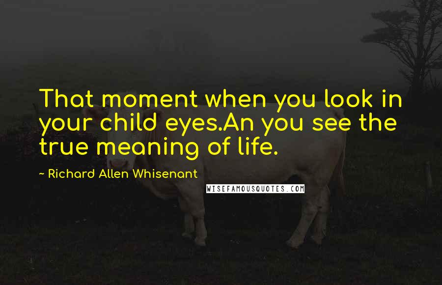 Richard Allen Whisenant Quotes: That moment when you look in your child eyes.An you see the true meaning of life.