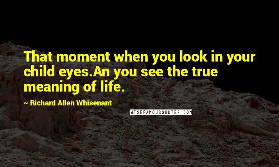 Richard Allen Whisenant Quotes: That moment when you look in your child eyes.An you see the true meaning of life.