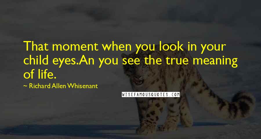 Richard Allen Whisenant Quotes: That moment when you look in your child eyes.An you see the true meaning of life.