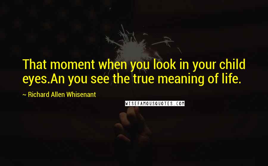 Richard Allen Whisenant Quotes: That moment when you look in your child eyes.An you see the true meaning of life.