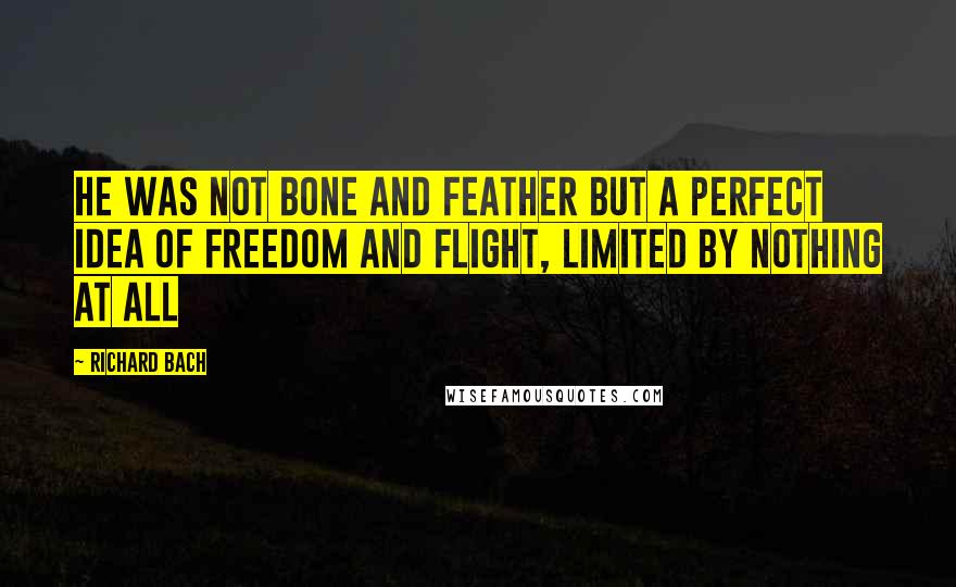 Richard Bach Quotes: He was not bone and feather but a perfect idea of freedom and flight, limited by nothing at all