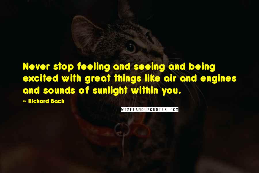 Richard Bach Quotes: Never stop feeling and seeing and being excited with great things like air and engines and sounds of sunlight within you.