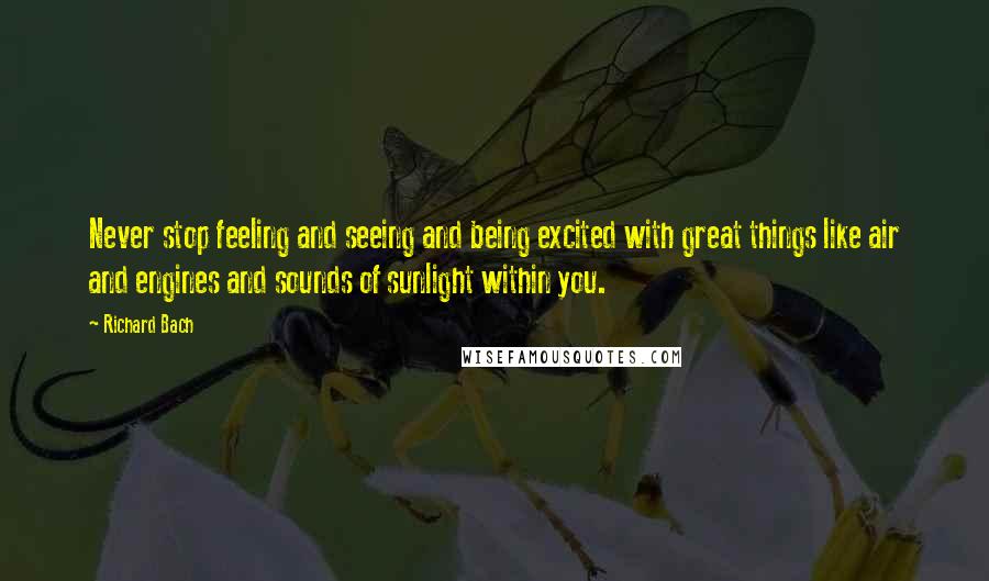 Richard Bach Quotes: Never stop feeling and seeing and being excited with great things like air and engines and sounds of sunlight within you.