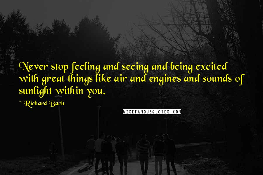 Richard Bach Quotes: Never stop feeling and seeing and being excited with great things like air and engines and sounds of sunlight within you.