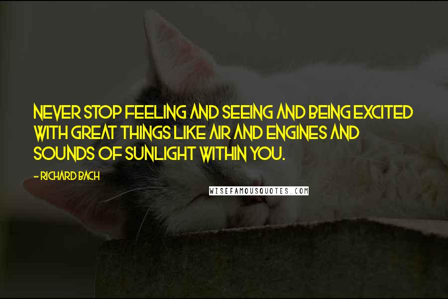 Richard Bach Quotes: Never stop feeling and seeing and being excited with great things like air and engines and sounds of sunlight within you.