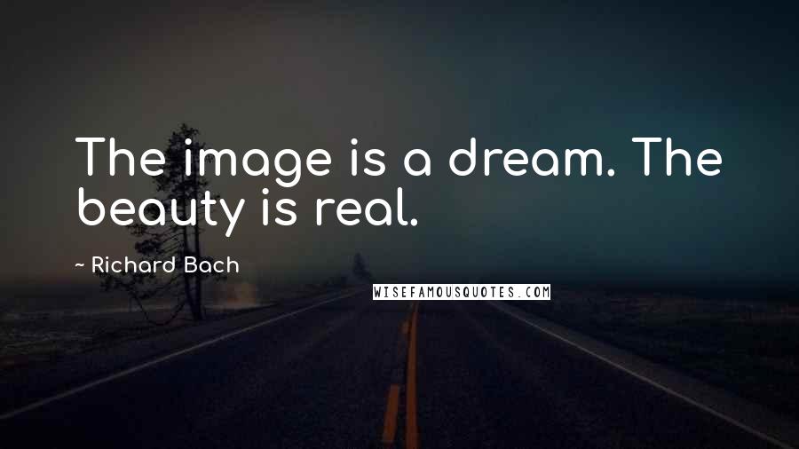 Richard Bach Quotes: The image is a dream. The beauty is real.