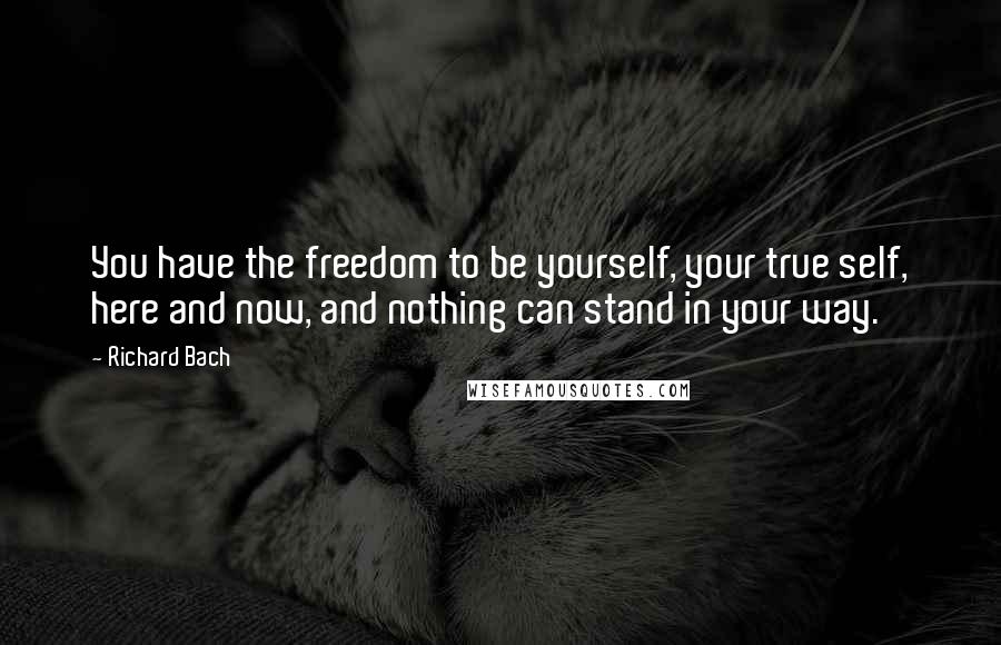 Richard Bach Quotes: You have the freedom to be yourself, your true self, here and now, and nothing can stand in your way.