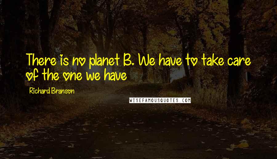 Richard Branson Quotes: There is no planet B. We have to take care of the one we have