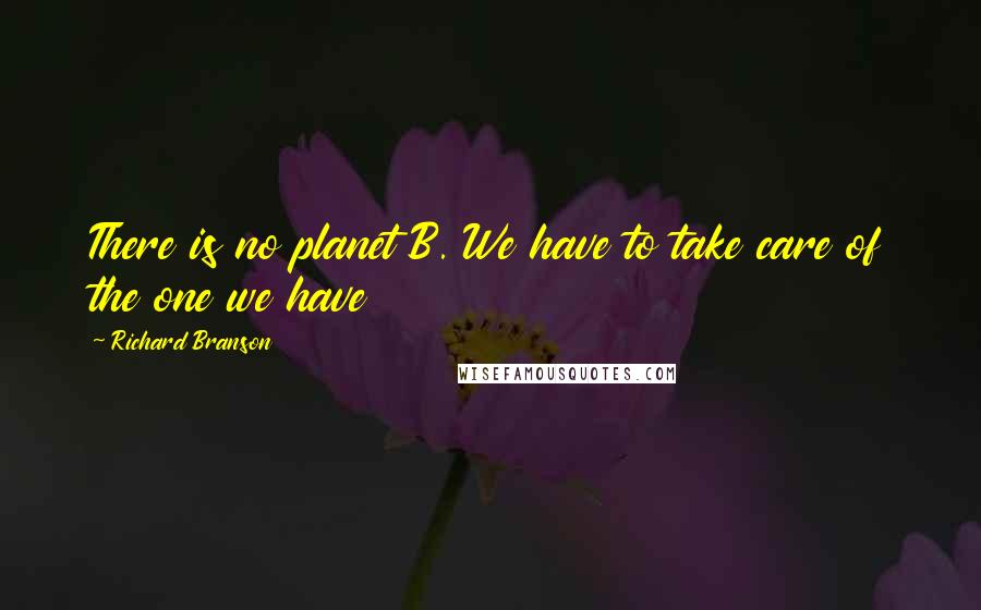 Richard Branson Quotes: There is no planet B. We have to take care of the one we have