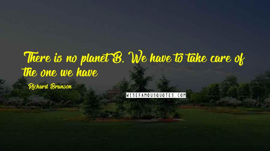 Richard Branson Quotes: There is no planet B. We have to take care of the one we have