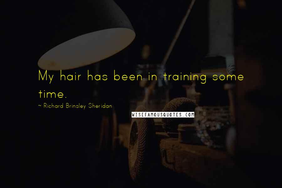 Richard Brinsley Sheridan Quotes: My hair has been in training some time.