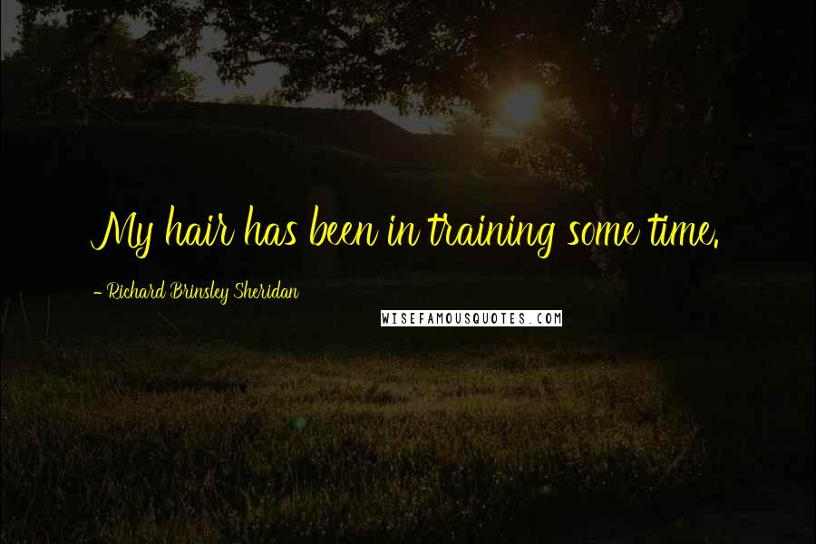 Richard Brinsley Sheridan Quotes: My hair has been in training some time.