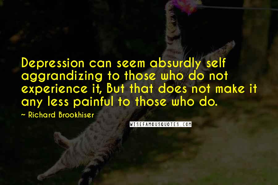 Richard Brookhiser Quotes: Depression can seem absurdly self aggrandizing to those who do not experience it, But that does not make it any less painful to those who do.