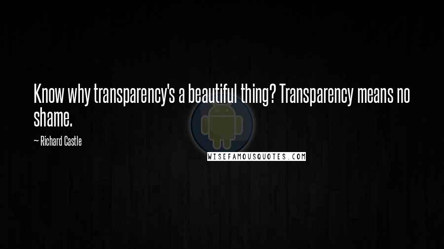 Richard Castle Quotes: Know why transparency's a beautiful thing? Transparency means no shame.