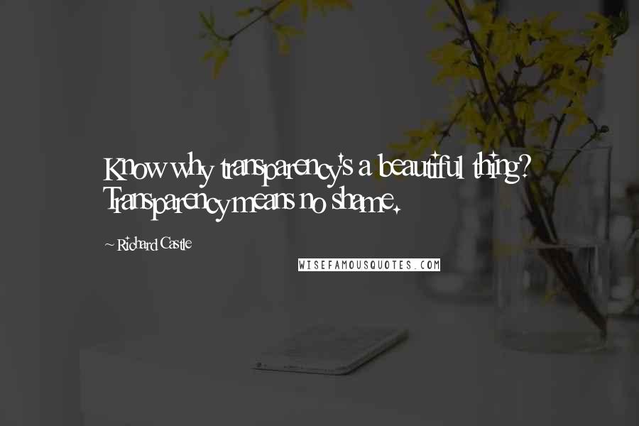 Richard Castle Quotes: Know why transparency's a beautiful thing? Transparency means no shame.