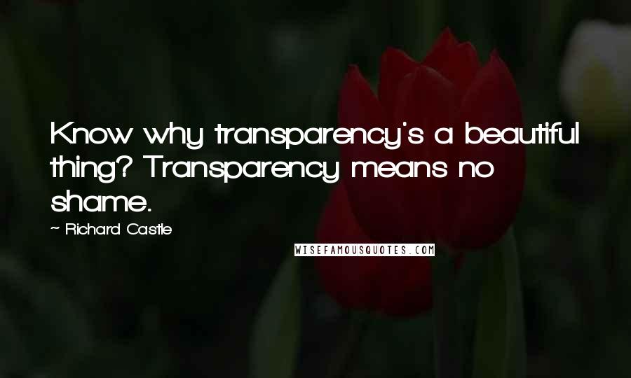 Richard Castle Quotes: Know why transparency's a beautiful thing? Transparency means no shame.