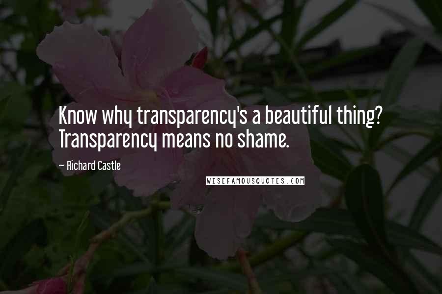 Richard Castle Quotes: Know why transparency's a beautiful thing? Transparency means no shame.