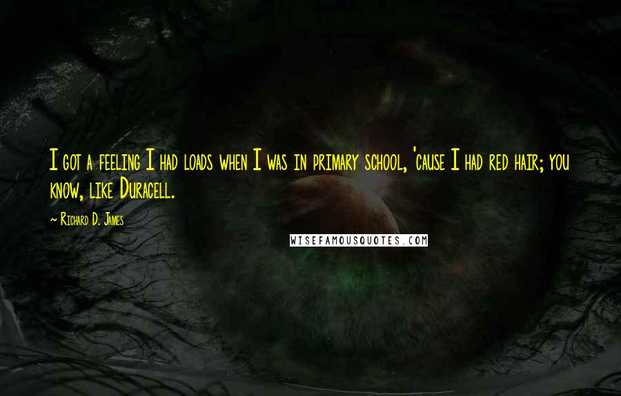 Richard D. James Quotes: I got a feeling I had loads when I was in primary school, 'cause I had red hair; you know, like Duracell.