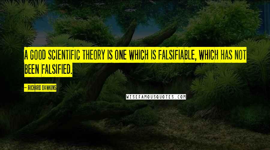 Richard Dawkins Quotes: A good scientific theory is one which is falsifiable, which has not been falsified.