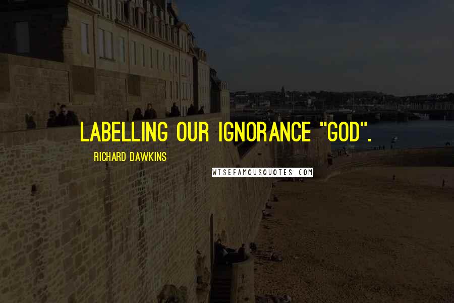 Richard Dawkins Quotes: labelling our ignorance "God".