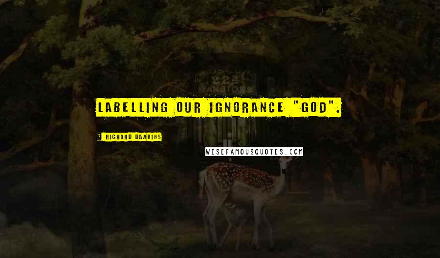 Richard Dawkins Quotes: labelling our ignorance "God".