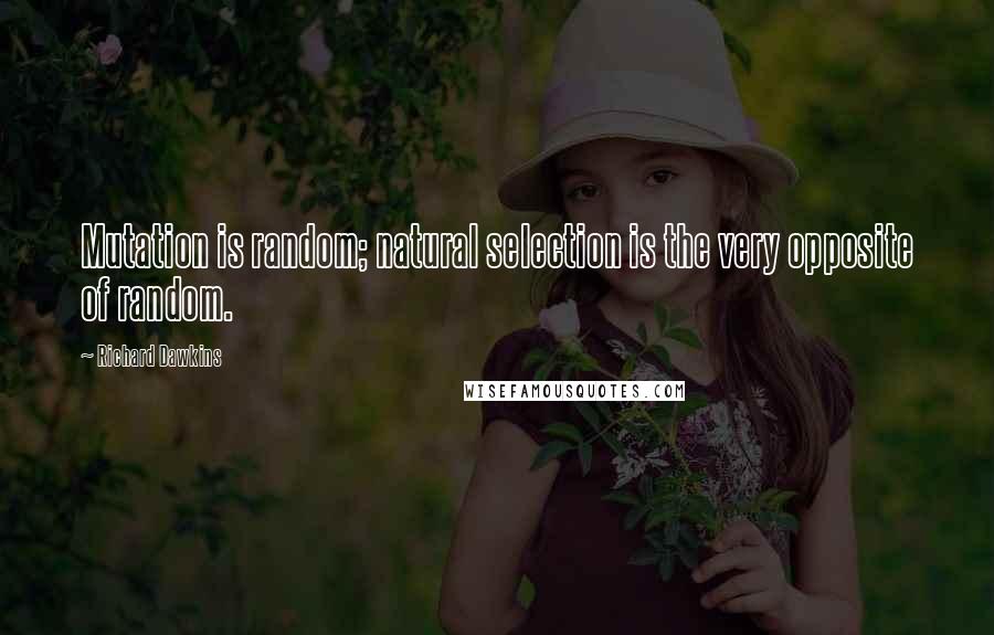 Richard Dawkins Quotes: Mutation is random; natural selection is the very opposite of random.
